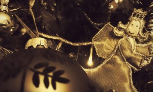 Christmas Moose 2014