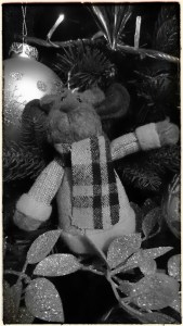 IMG_20141220_214648~3