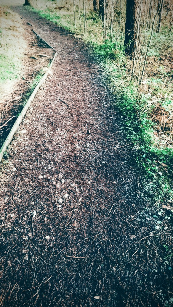 DSC_0249~3.JPG image