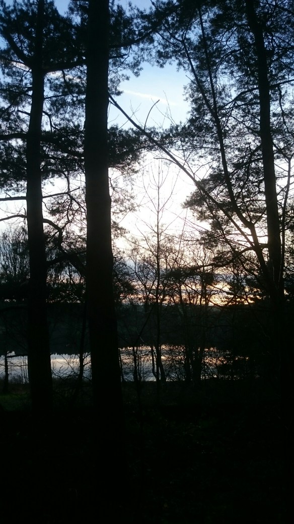 wp-1458925510922 image