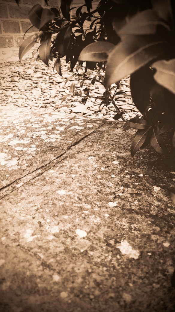 PSX_20160404_231823.jpg image