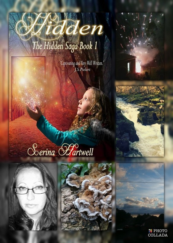 13887054_1111023948965282_8074654921669015601_n