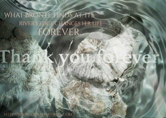 d2738060-fb0d-47d8-ac62-165e5173f472