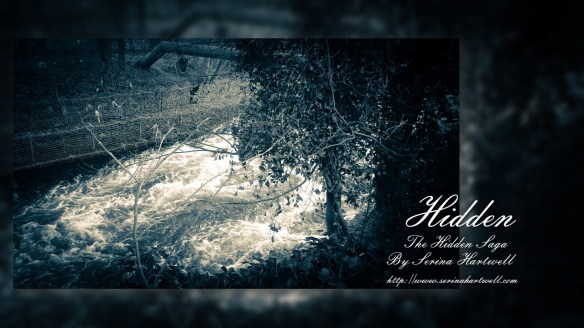 FANTASY BANNERS 7 30