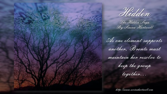 FANTASY BANNERS HIDDEN