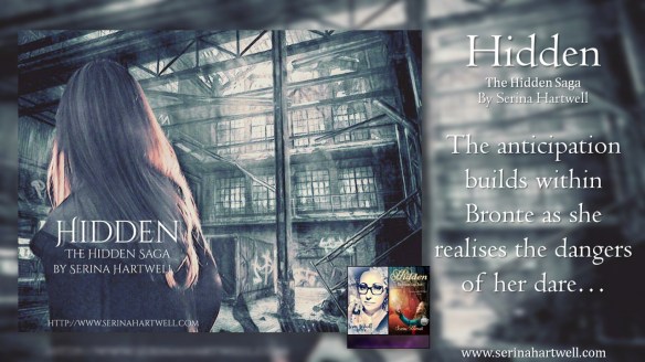 FANTASY BANNERS HIDDEN 2 S10